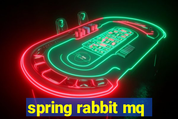 spring rabbit mq